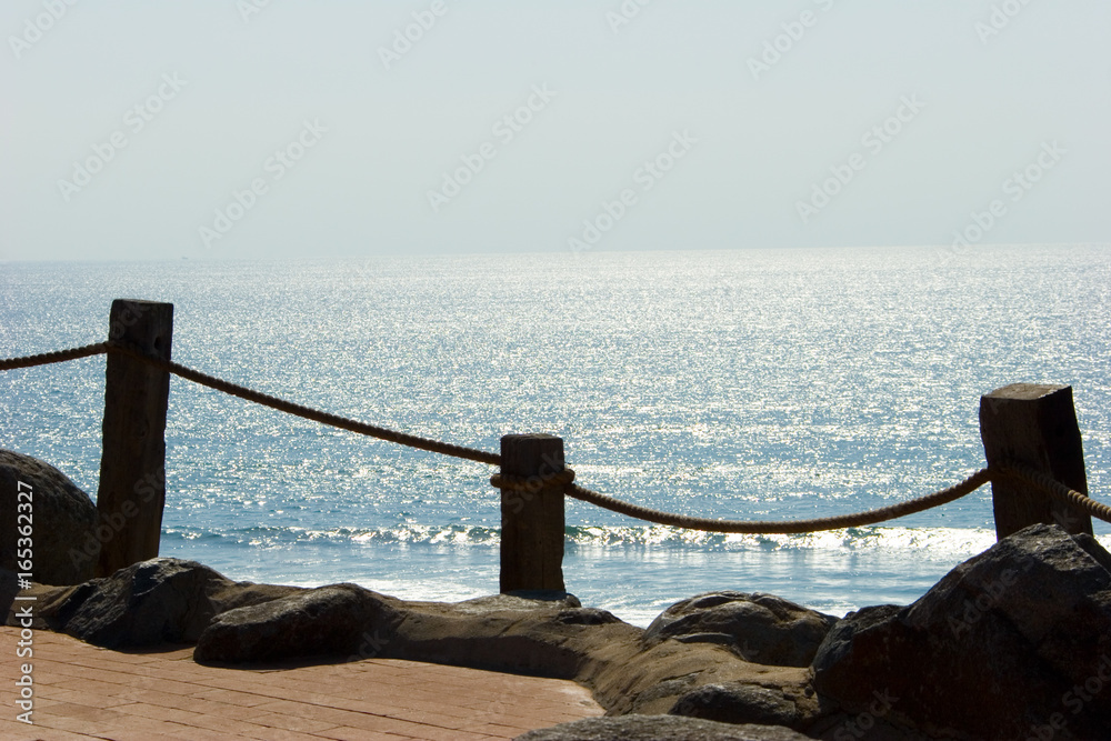 Obraz premium San Diego, USA, Landscape and Wild Life
