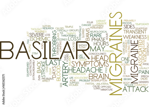 BASS AMPLIFIER Text Background Word Cloud Concept