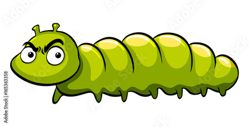 Green caterpillar with angry face