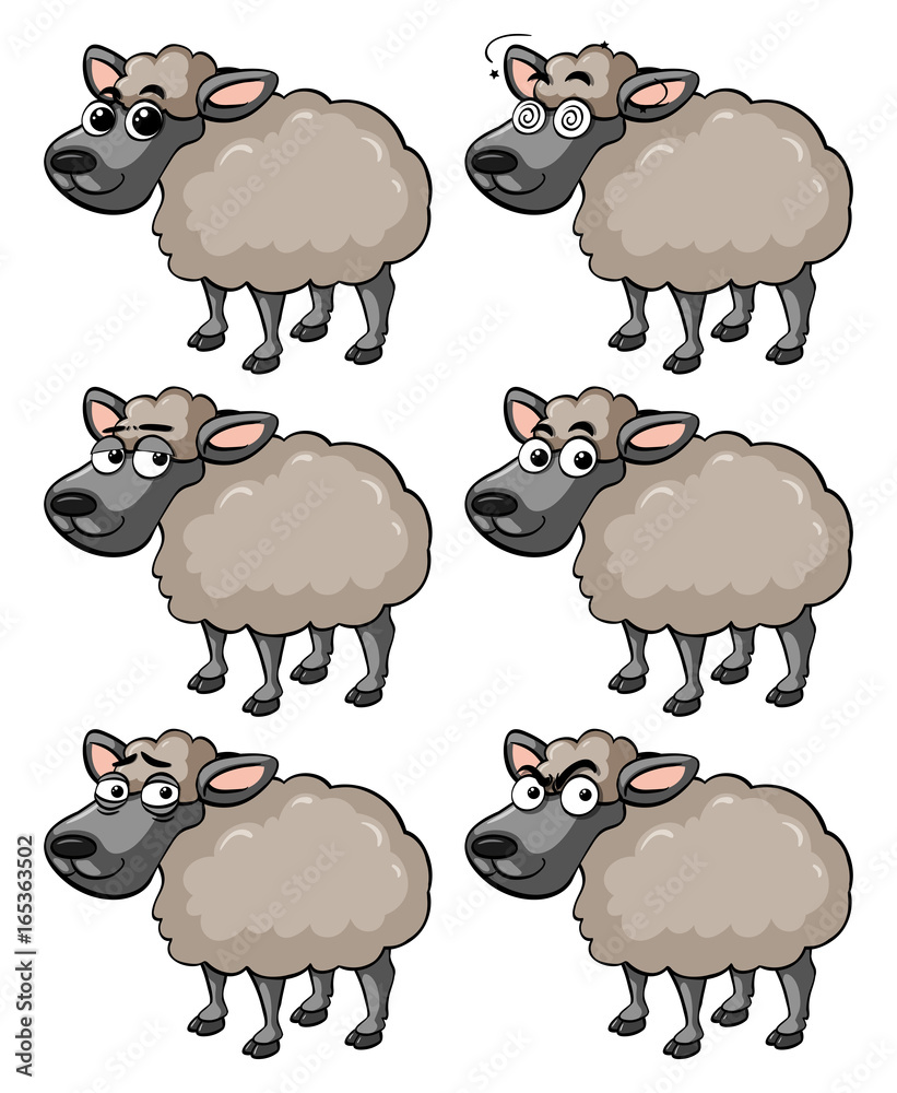 Sheep with different facial expressions
