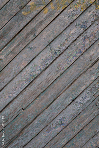 Old wood planks. Grunge texture.