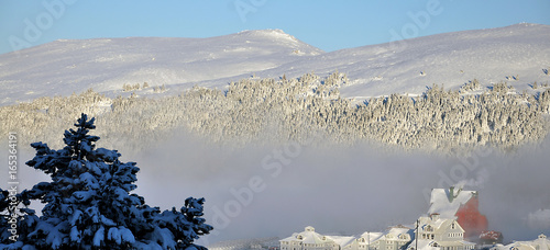 winter landscape - snow