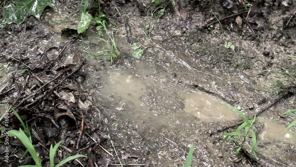Korean War Action Footage - American Soldier's boot steps in the mud in the jungle