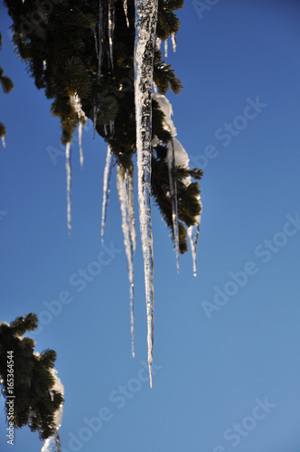 winter landscape