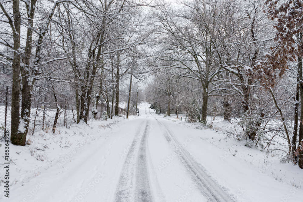 Wintry Road