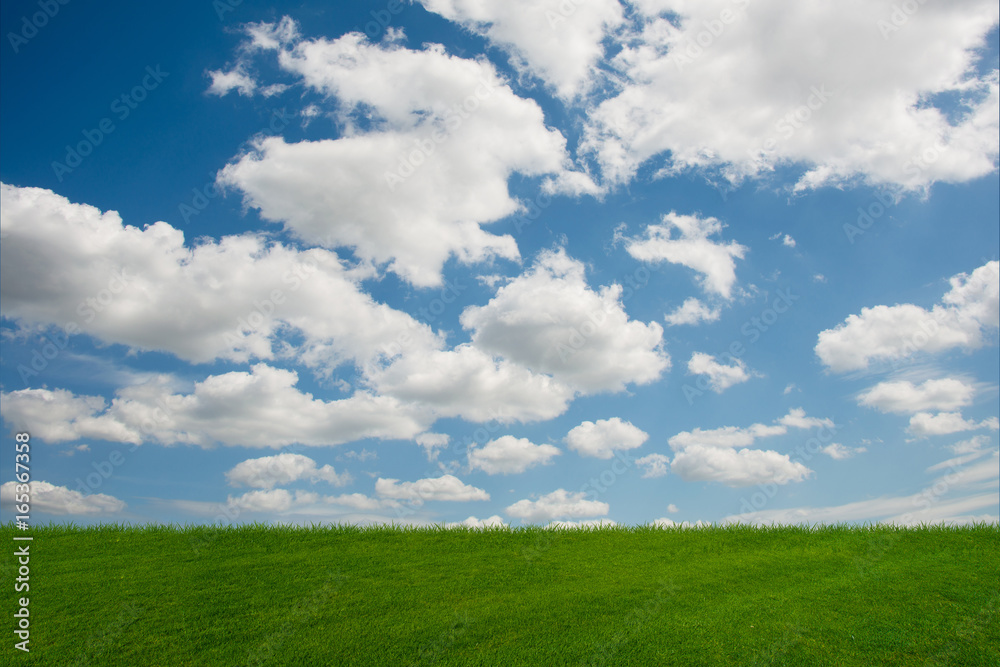 Cloudy sky and green grass in nature concept