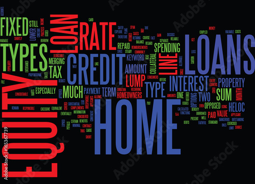Z TYPES OF HOME EQUITY LOANS REVISED Text Background Word Cloud Concept