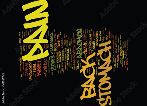 Z BACK AND STOMACH PAIN Text Background Word Cloud Concept