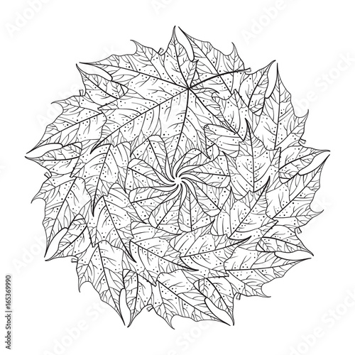 Maple leaves mandala pattern. Autunn adult coloring page