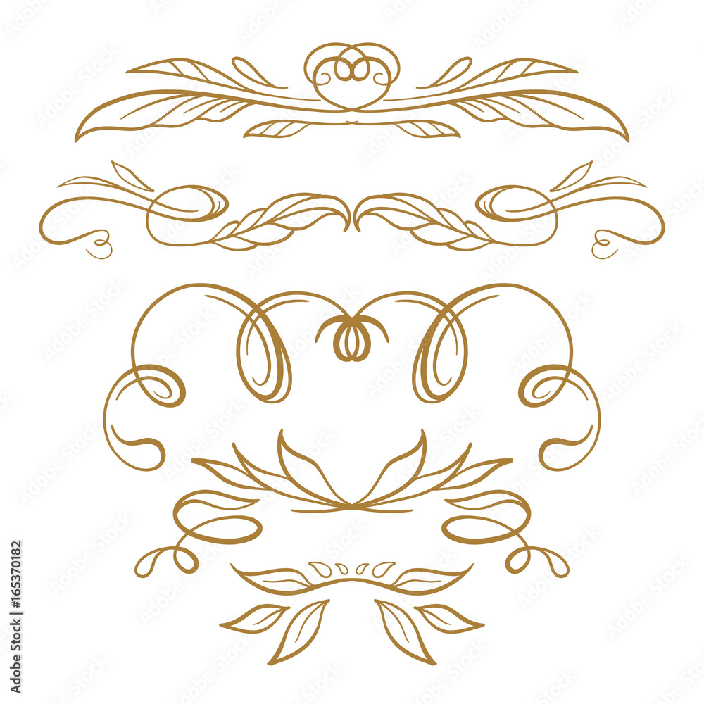 Vector calligraphy floral elements set. Vector calligraphy floral elements set.