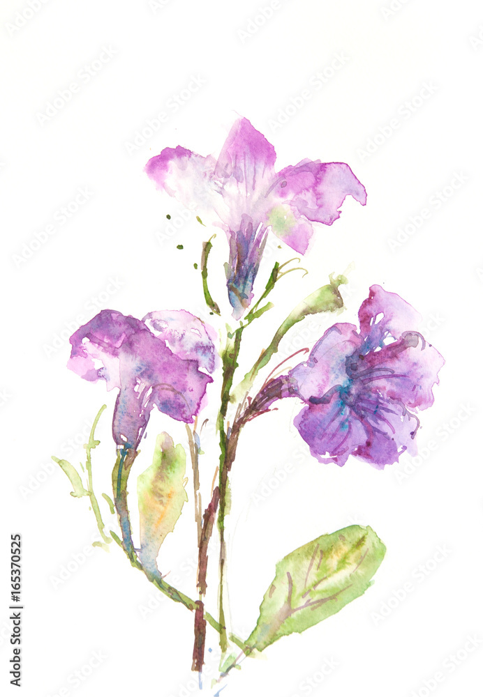 Abstract bloom purple flowers