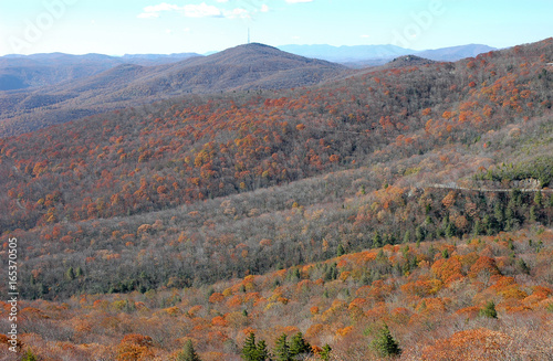 mountains with autumn colorful forest in smoky mountain