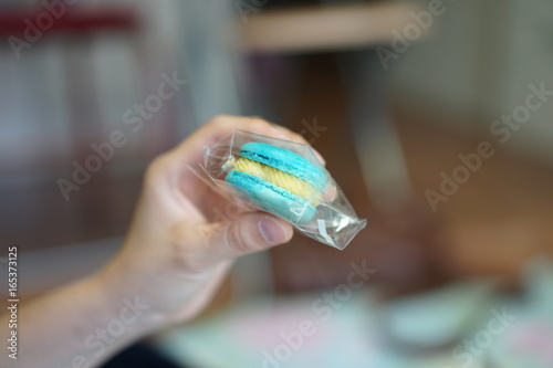 traditional french mint color macarons