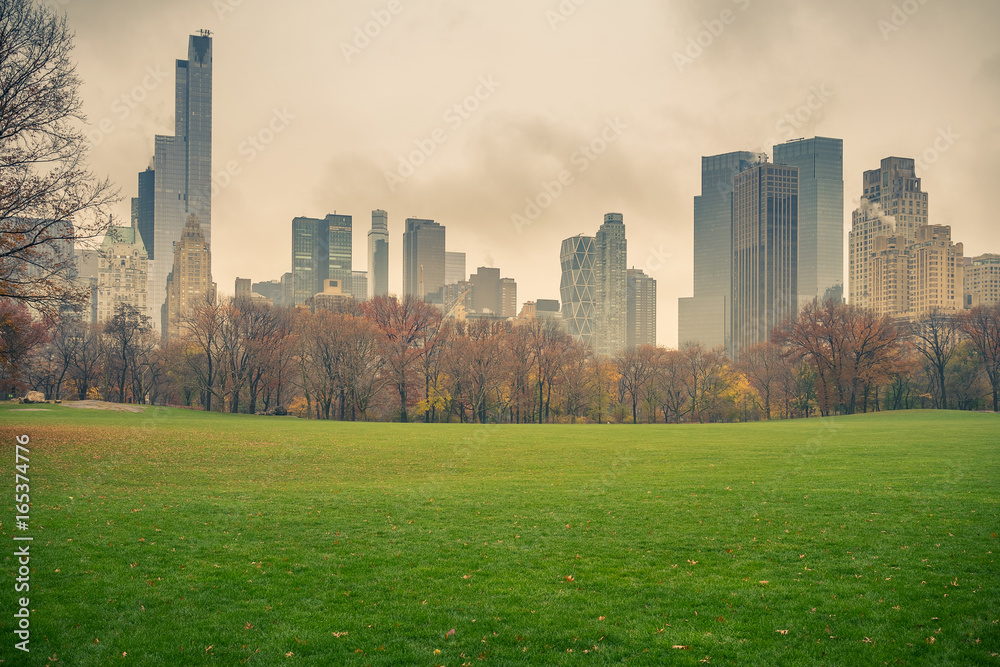 Fototapeta premium Central park at rainy day, New York City, USA