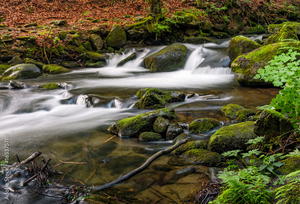 powerful creak with cascade in green forest powerful creak with cascade in green forest