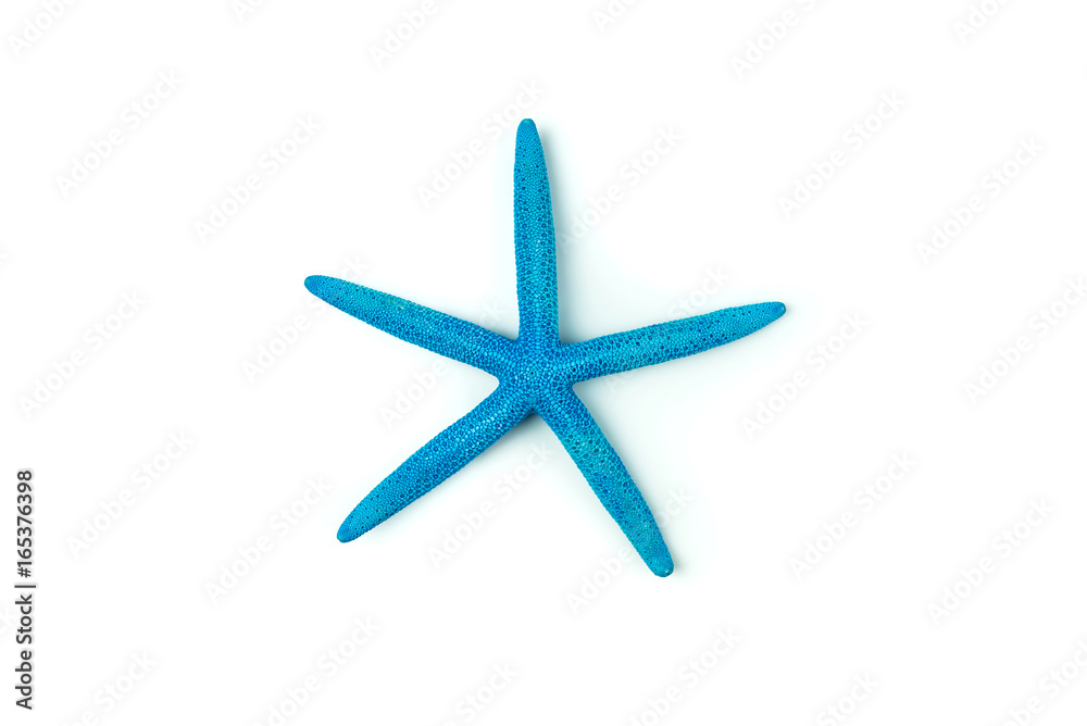 Blue starfish isolated on white background,Clipping Path. Blue starfish isolated on white background,Clipping Path.