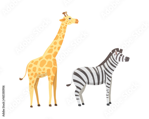 Fototapeta Naklejka Na Ścianę i Meble -  African animals cartoon vector set. giraffe, zebra, safari isolated illustration