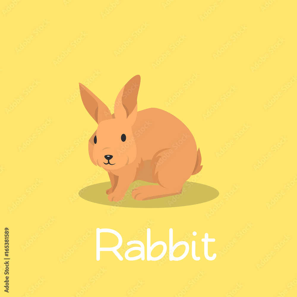A lovely rabbit pet illustration design on yellow background.vector A lovely rabbit pet illustration design on yellow background.vector