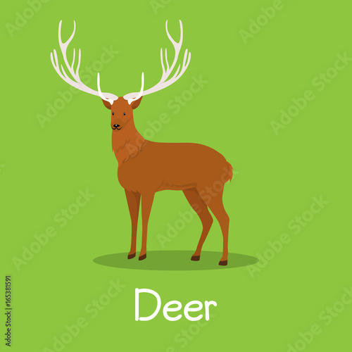 Deer illustration design on green background.vector