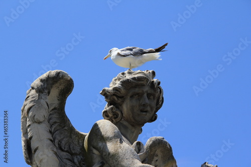 oiseau sur statue