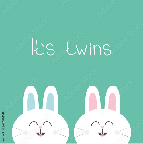 Its twins Two cute twin bunny rabbit. Hare head couple family icon. Cute cartoon funny smiling character set. Green background. Isolated. Flat design