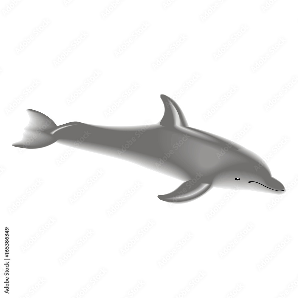 dolphin dolphin