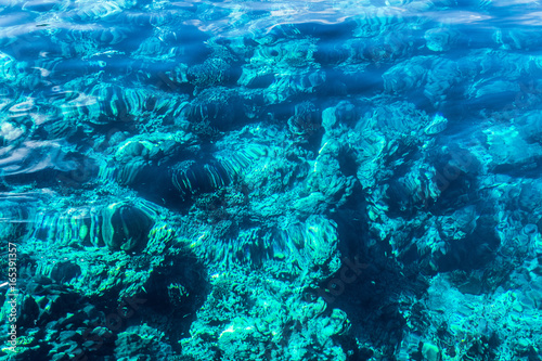 Under the sea Visible rocks and coral.