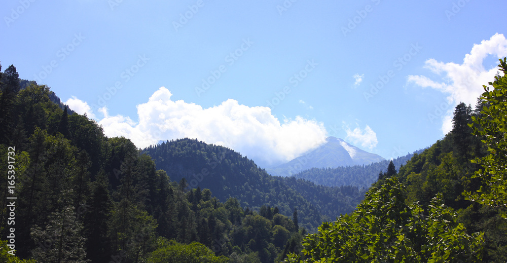 Obraz premium Green mountain valley in blue fog against blue sky and white cloud. Summer landscape. 