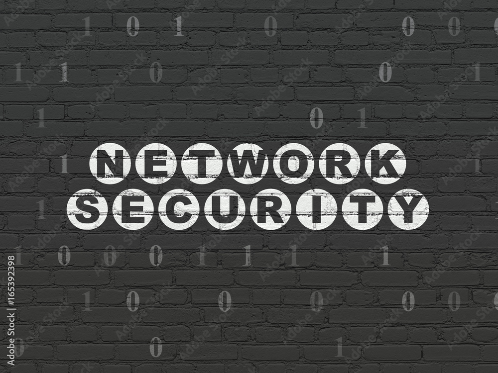Privacy concept: Network Security on wall background