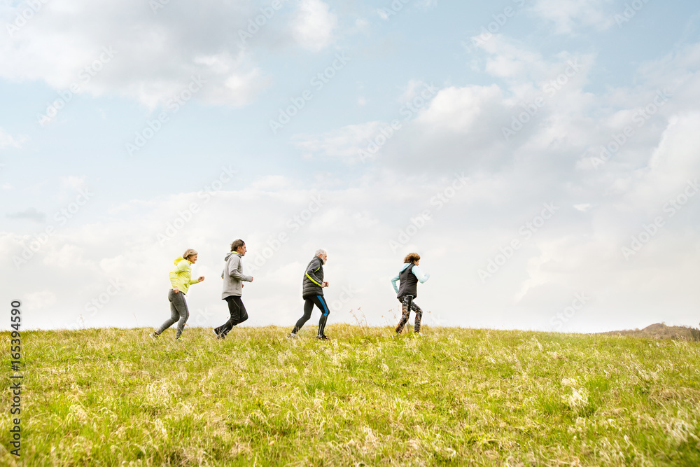 Group of seniors running outside on the green hills. Group of seniors running outside on the green hills.