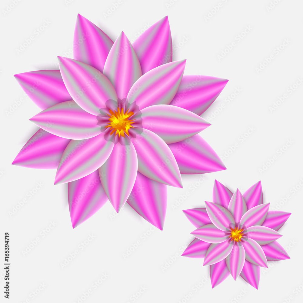 Flower isolated on white Flower isolated on white