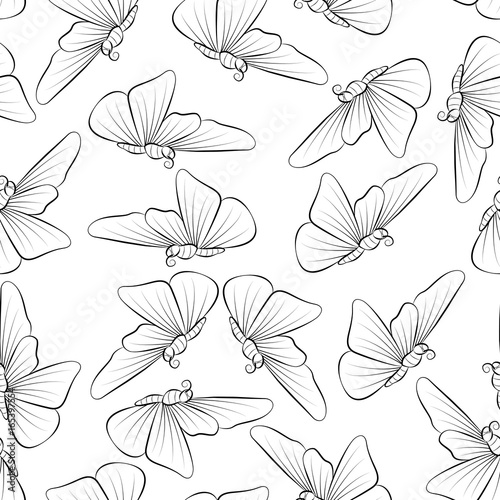 Butterflies fly outline. Seamless pattern with insect. The outline nature in the spring.