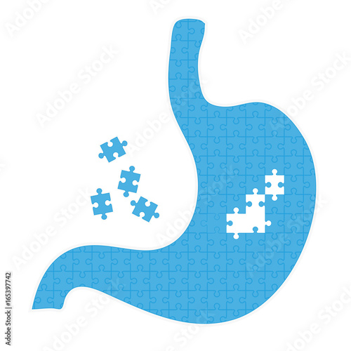Human Stomach With Puzzles Isolated On A White Background. Vector Illustration.Gastroenterology. Creative Medical Concept