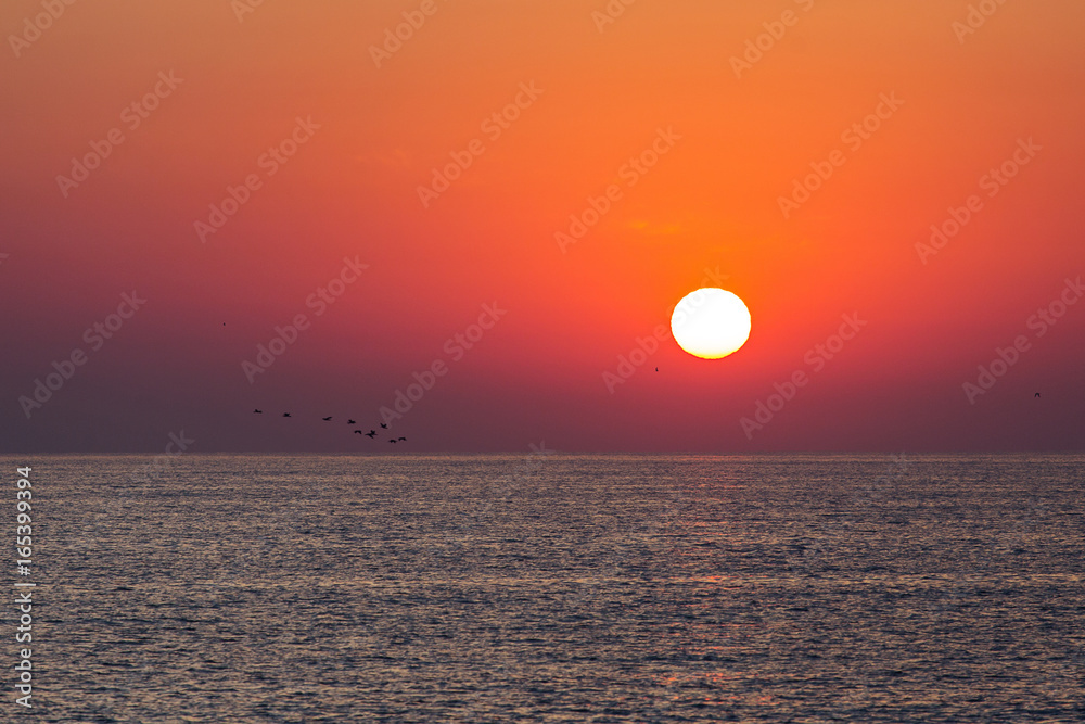 Sunrise over a sea with birds over the water