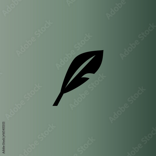 Feather icon. flat design. photo