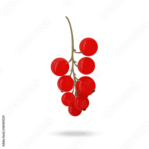 Berry red currant on a green branch on a white background