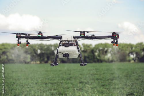 Drones spraying pesticides to grow potatoes. Industrial agriculture and smart farming concept.