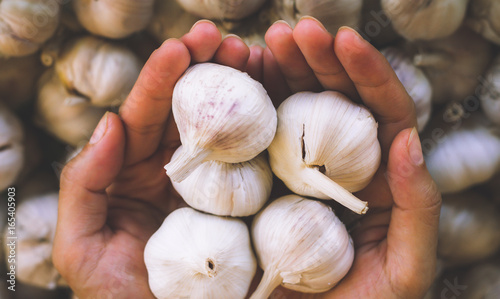 Garlic.Woman hands peeling garlic preparation for cooking in the kitchen on fresh garlic Background