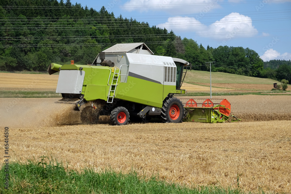Fototapeta premium Getreideernte