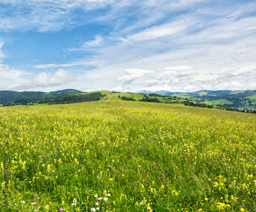 Beautiful meadow field with wildflowers against the background of mountains with clouds