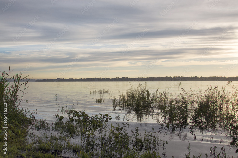 the trees in the water on the banks of the Volga river. the flood of the Volga river at dawn the trees in the water on the banks of the Volga river. the flood of the Volga river at dawn