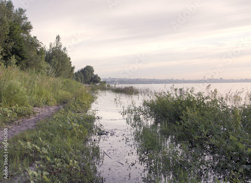 the trees in the water on the banks of the Volga river. the flood of the Volga river at dawn