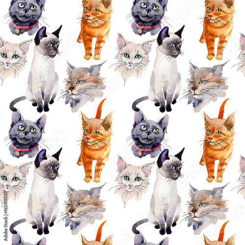 Exotic cat wild animal pattern in a watercolor style. Full name of the animal: cat. Aquarelle wild animal for background, texture, wrapper pattern or tattoo. photo