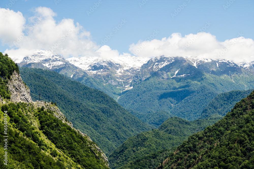 Fototapeta premium Snowy mountain peaks and green meadows and forests