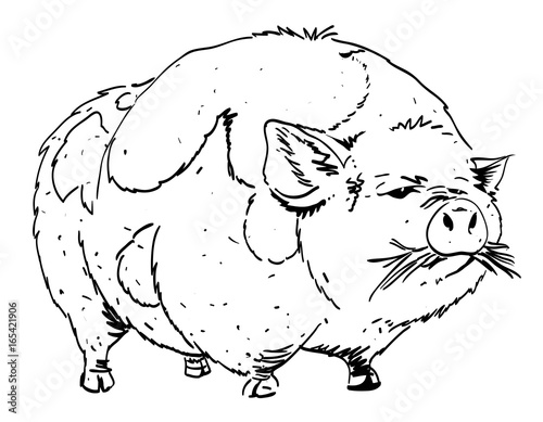 Cartoon image of huge pig. An artistic freehand picture.