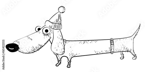 Cartoon image of dachshund. An artistic freehand picture.