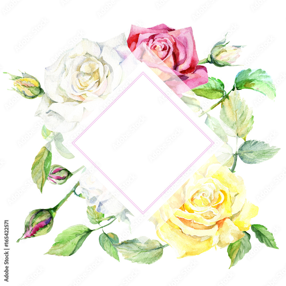 Wildflower rose flower frame in a watercolor style. Full name of the plant: rose. Aquarelle wild flower for background, texture, wrapper pattern, frame or border.