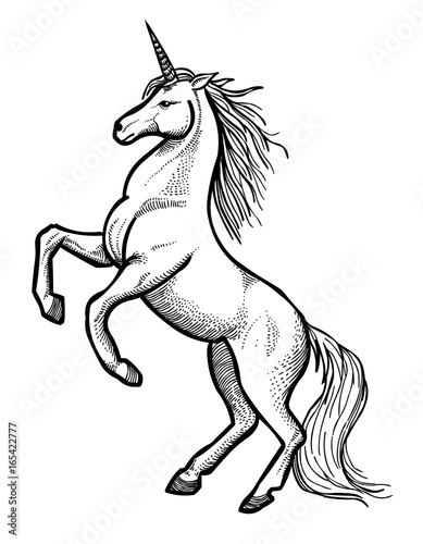 Cartoon image of unicorn. An artistic freehand picture.
