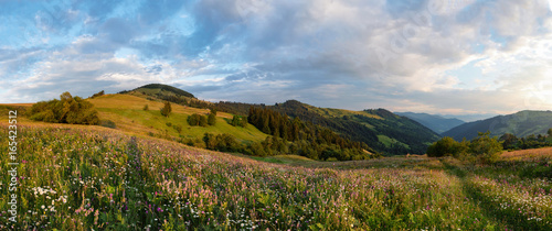 Sunset on the field in the Carpathians © mylisa