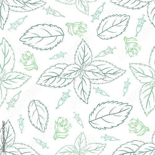Mint leaves, peppermint buds isolated on white background, Hand drawn vector seamless patterns, spicy herbs, kitchen texture, Doodle cooking ingredient for design package tea, wallpaper, cosmetics © m_e_l